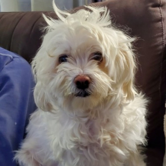 BUNDLE FOR SAVINGS! - Picture 3 of 3